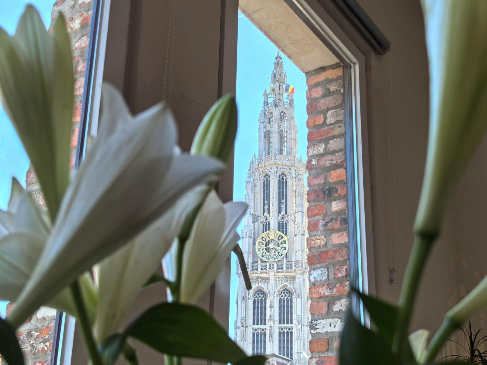Historical Center Antwerp, All On Foot Buitenkant foto